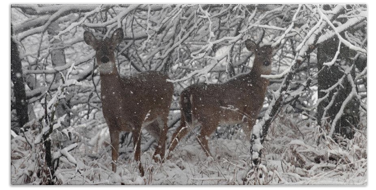 Deer Bath Towel featuring the photograph Caught in the Snow Storm by Elizabeth Winter