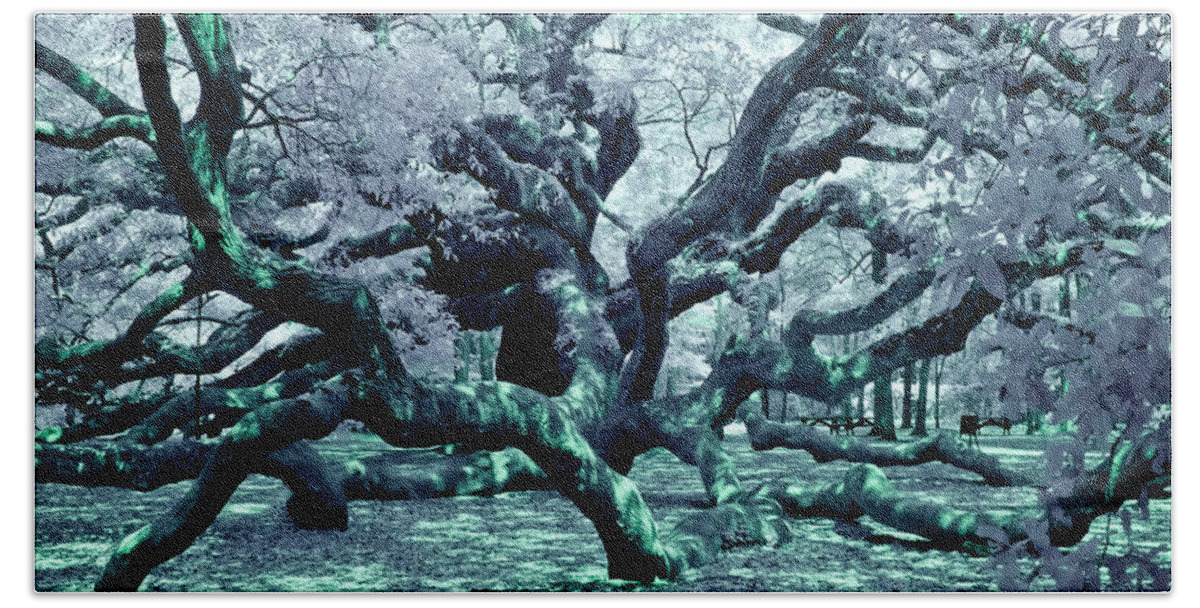 South Carolina Bath Towel featuring the photograph Charleston's Angel Oak Tree IR by Louis Dallara