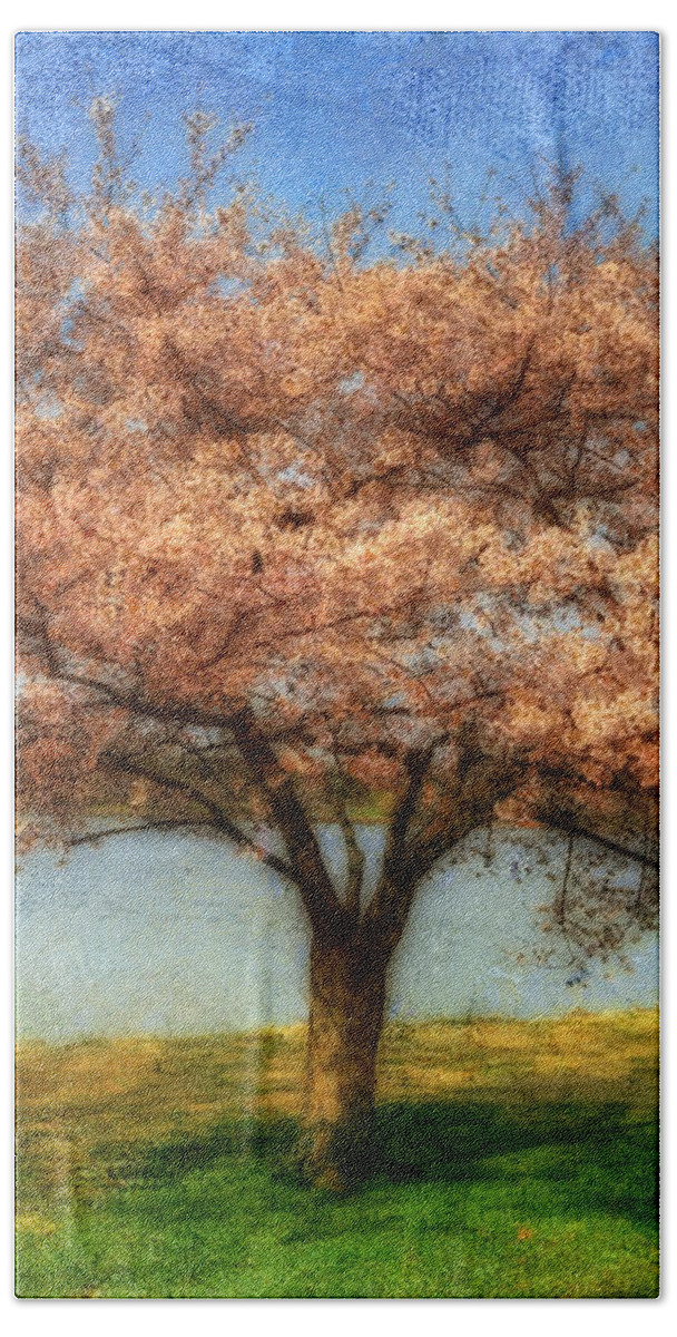 Cherry Tree Hand Towel featuring the photograph Cherry Tree by Lois Bryan