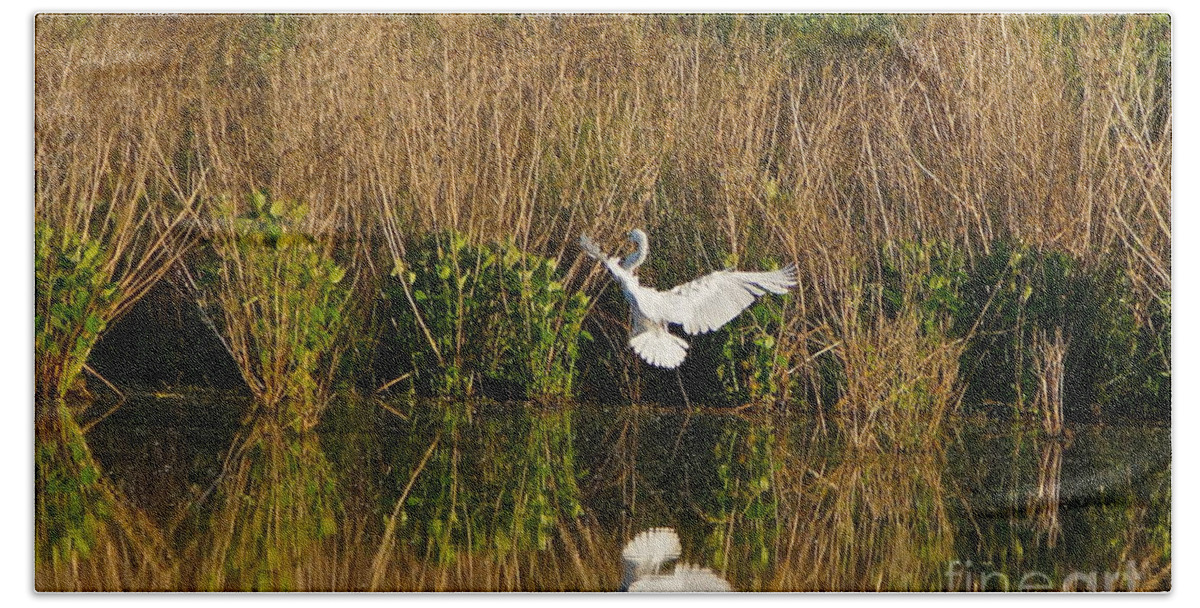 Egret Flying Bath Towel featuring the photograph Comings And Goings by Byron Varvarigos