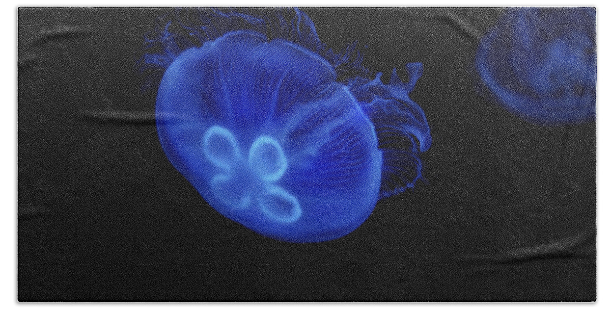 Beauty In Nature Hand Towel featuring the photograph Common Moon Jelly by Diane Macdonald