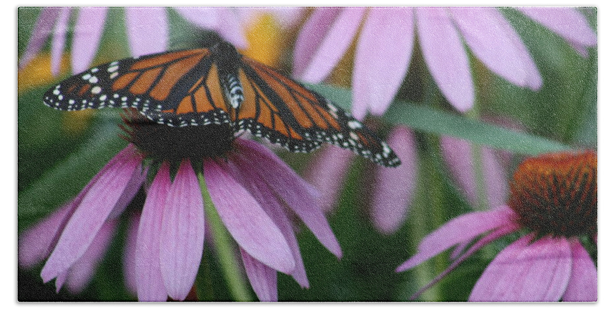 Nature Bath Towel featuring the photograph Cone Flowers And Monarch Butterfly by Kay Novy