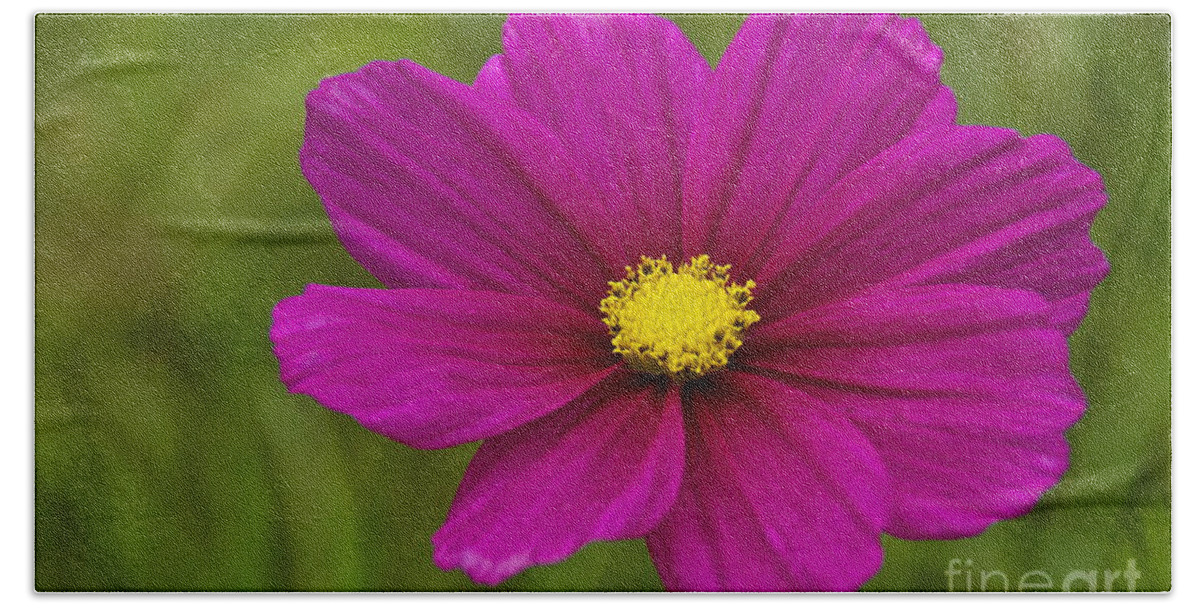 Photography Bath Towel featuring the photograph Cosmos by Sean Griffin