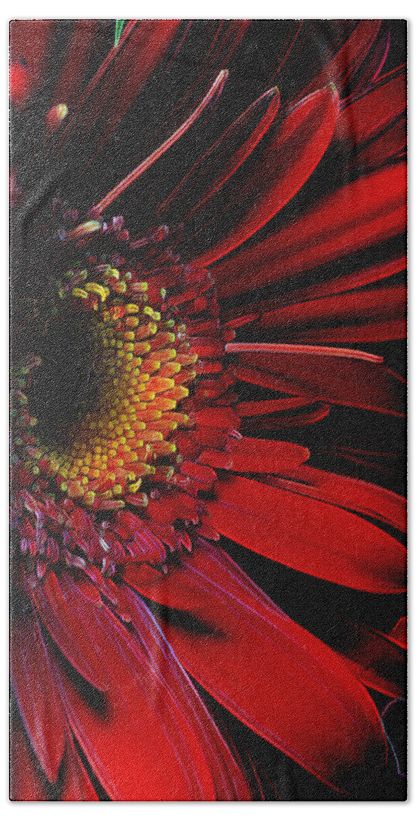 Red Hand Towel featuring the photograph Crimson Gerber Refraction by Bill and Linda Tiepelman