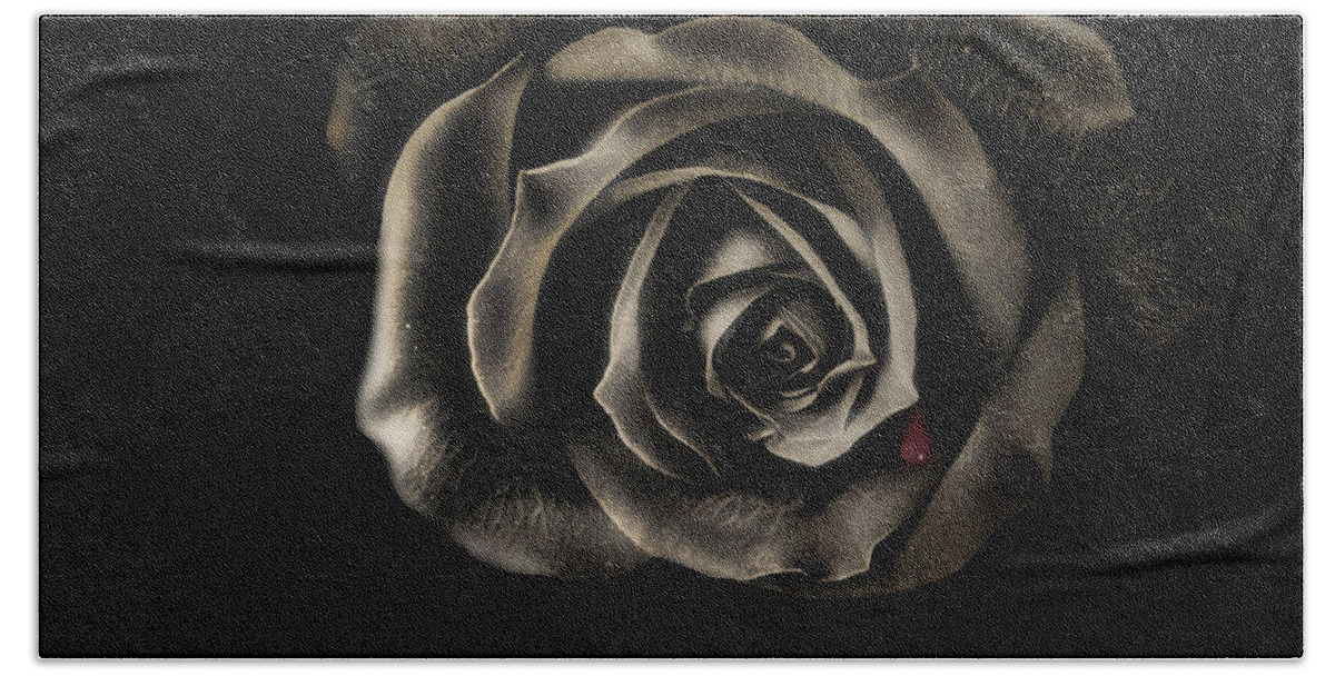 Black Rose Bath Towel featuring the photograph Crying Black Rose by Danuta Bennett