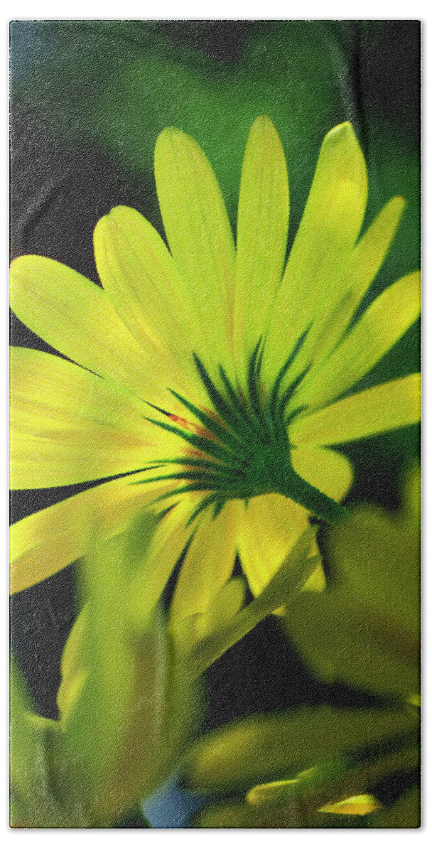 Flower Bath Towel featuring the photograph Daisy a different look by Bill Dodsworth