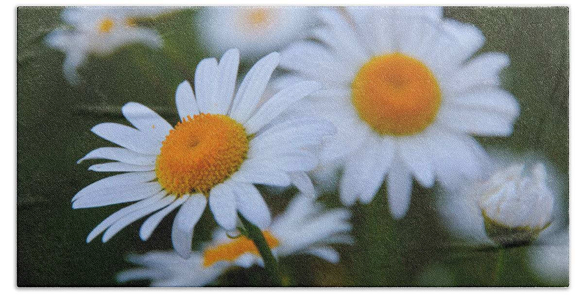 Daisies Hand Towel featuring the photograph Daisy by Athena Mckinzie