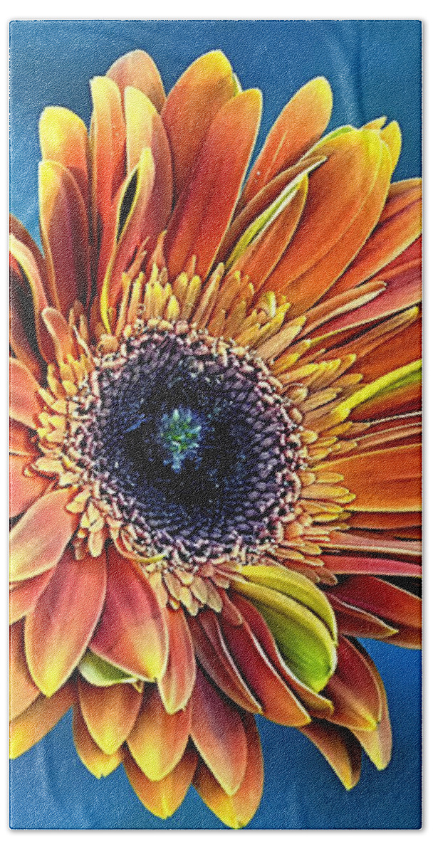 Gerber Daisy Hand Towel featuring the photograph Daisy Dialation by Bill and Linda Tiepelman