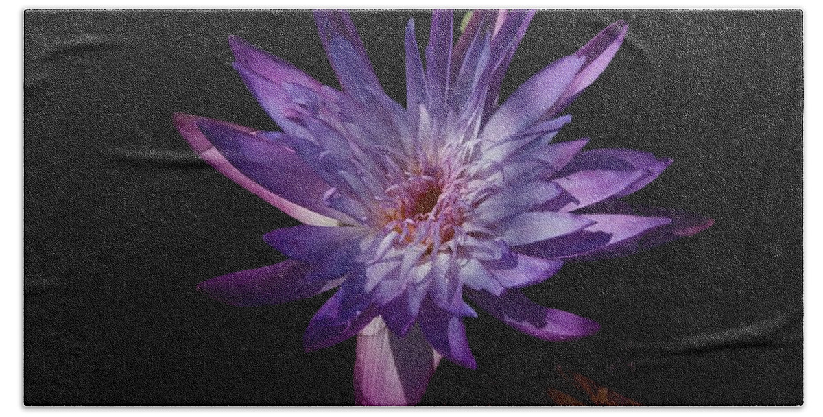 Brazillian Water Lilly Bath Towel featuring the photograph Dark Beauty by Joseph Yarbrough