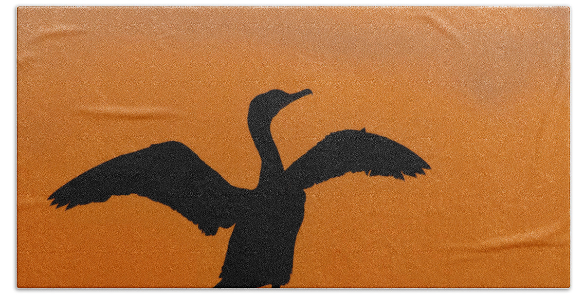 Double-crested Cormorant Bath Sheet featuring the photograph Dawn of a Double-crested Cormorant by Tony Beck