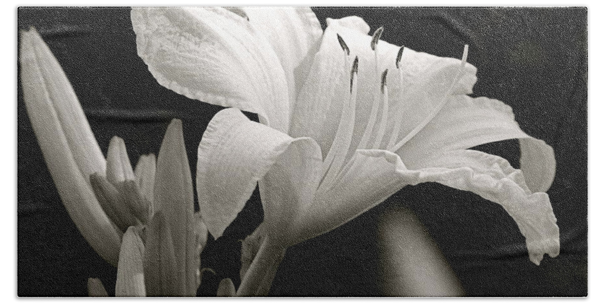 Black And White Photography Bath Towel featuring the photograph Daylily Study in BW IV by Sue Stefanowicz