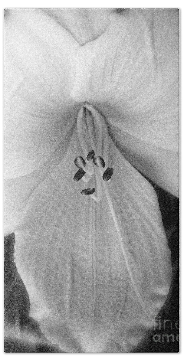 Black And White Photography Hand Towel featuring the photograph Daylily Study in BW by Sue Stefanowicz