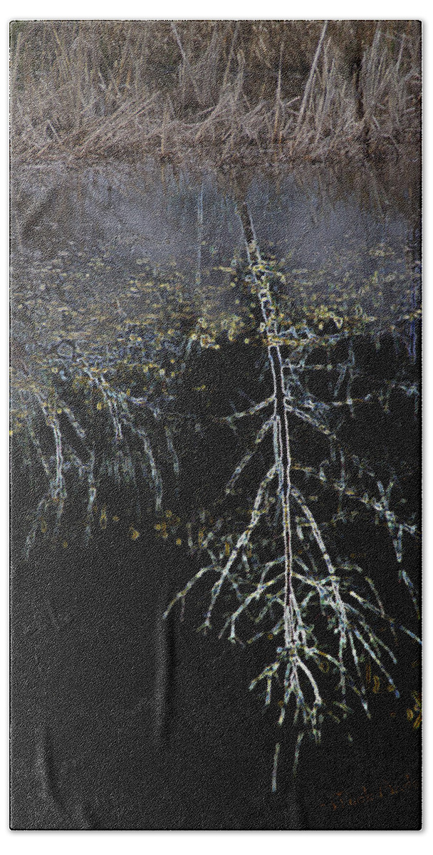 Special Effect Bath Towel featuring the photograph Dead Tree Reflects in Black Water by Mick Anderson