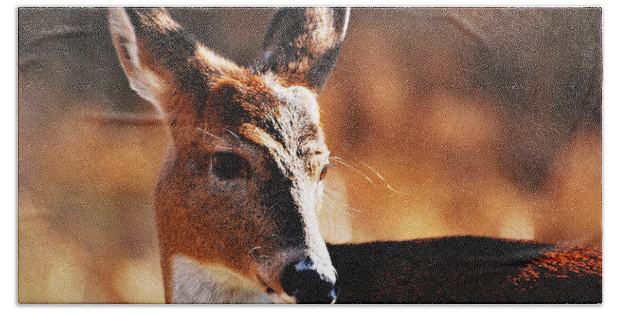 Deer Bath Towel featuring the photograph Deep in Thought by Lori Tambakis