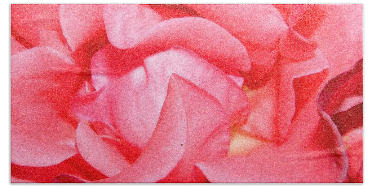 Pink Bath Towel featuring the photograph Delicate Swirls Of Pin by Kim Galluzzo