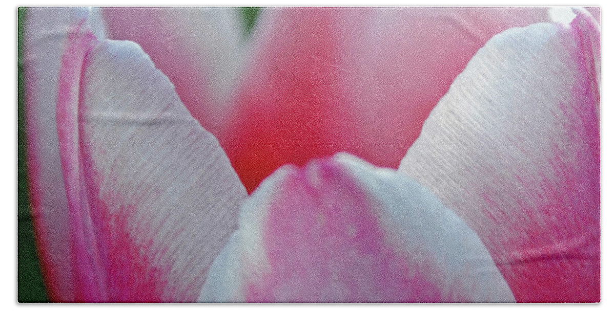 Tulip Bath Towel featuring the photograph Deluscious by Melanie Moraga
