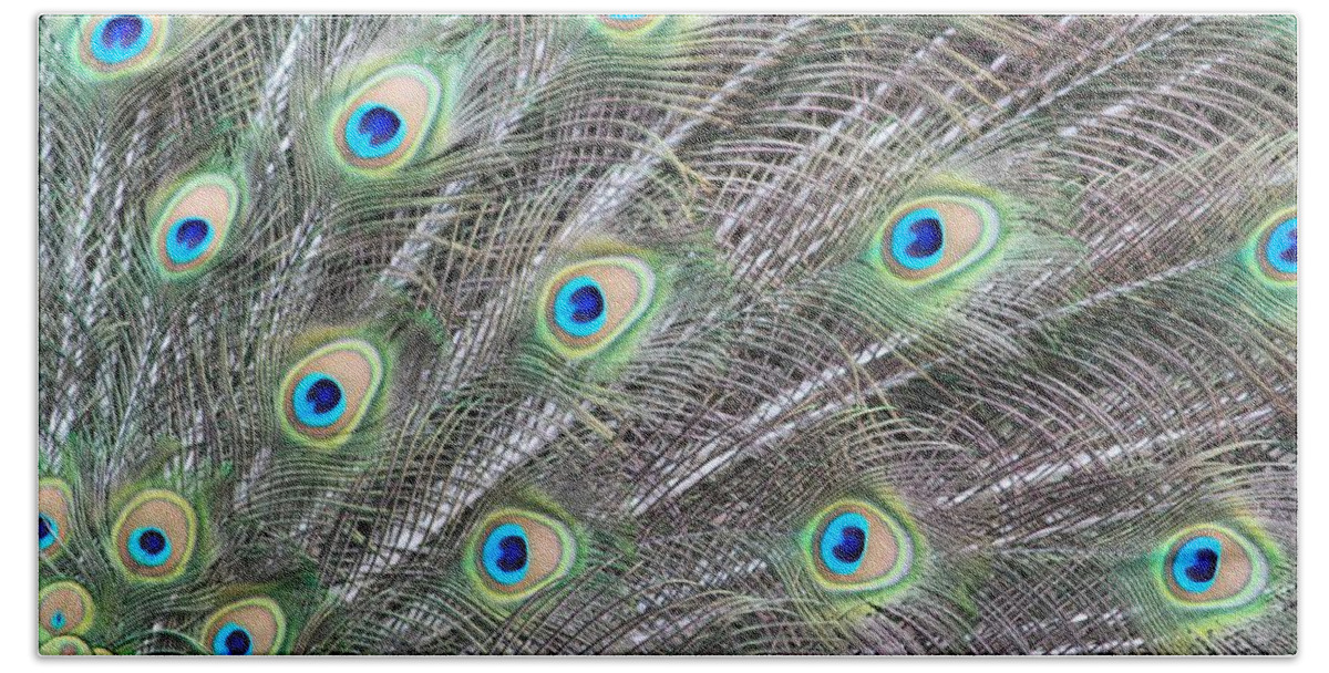 Male Peacock Bath Towel featuring the photograph Dragon Eyes by Amy Gallagher