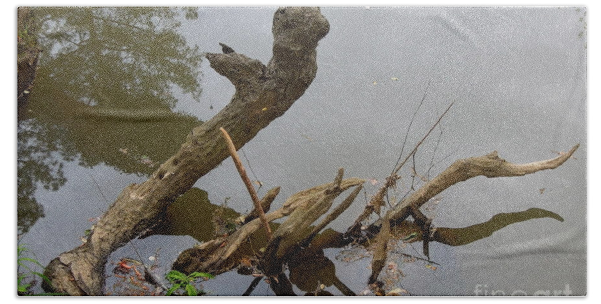 Driftwood Bath Towel featuring the photograph Driftwood by Renee Trenholm