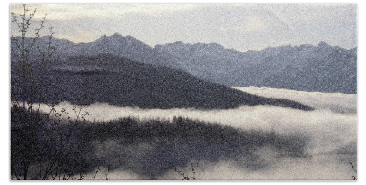 Fog Bath Towel featuring the photograph Early Morning Fog by Catherine Helmick