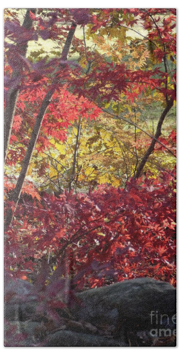 Red Maples Bath Towel featuring the photograph Fall Comes to New England by Michelle Welles