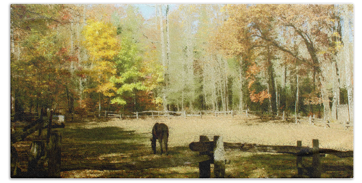 Fall Corral Bath Towel featuring the photograph Fall Corral by Seth Weaver