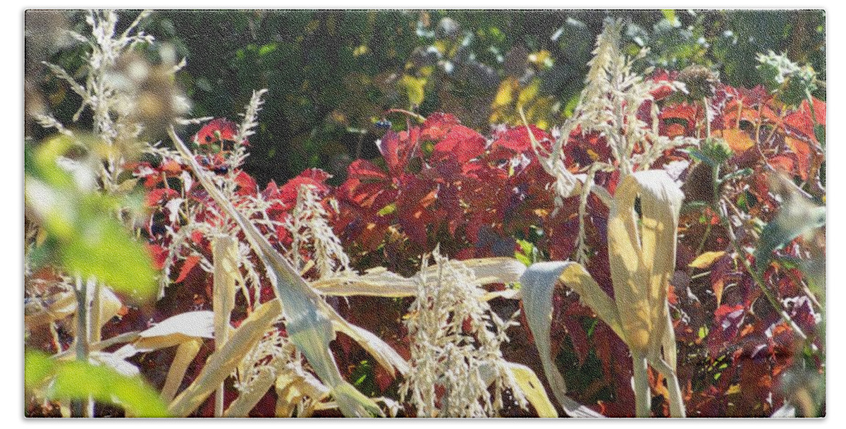 Fall Colors Hand Towel featuring the photograph Fall Harvest of Color by Dorrene BrownButterfield