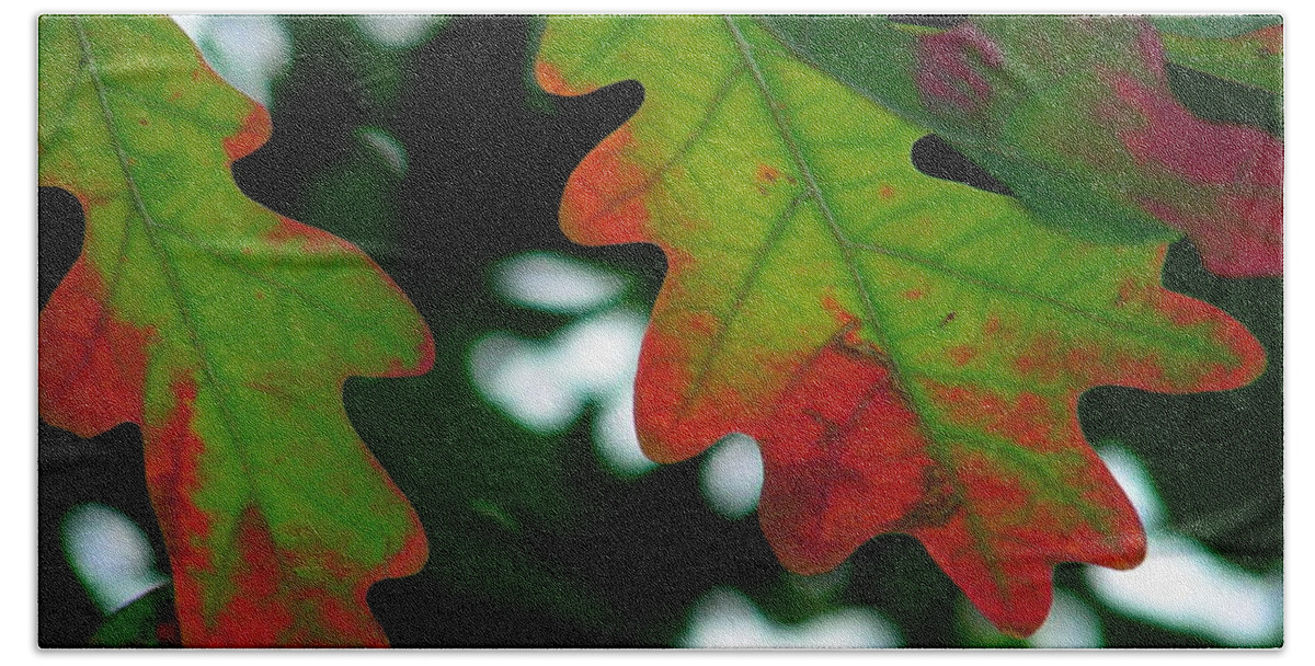 Leaves Bath Towel featuring the photograph Fall L eaves by Mark Gilman