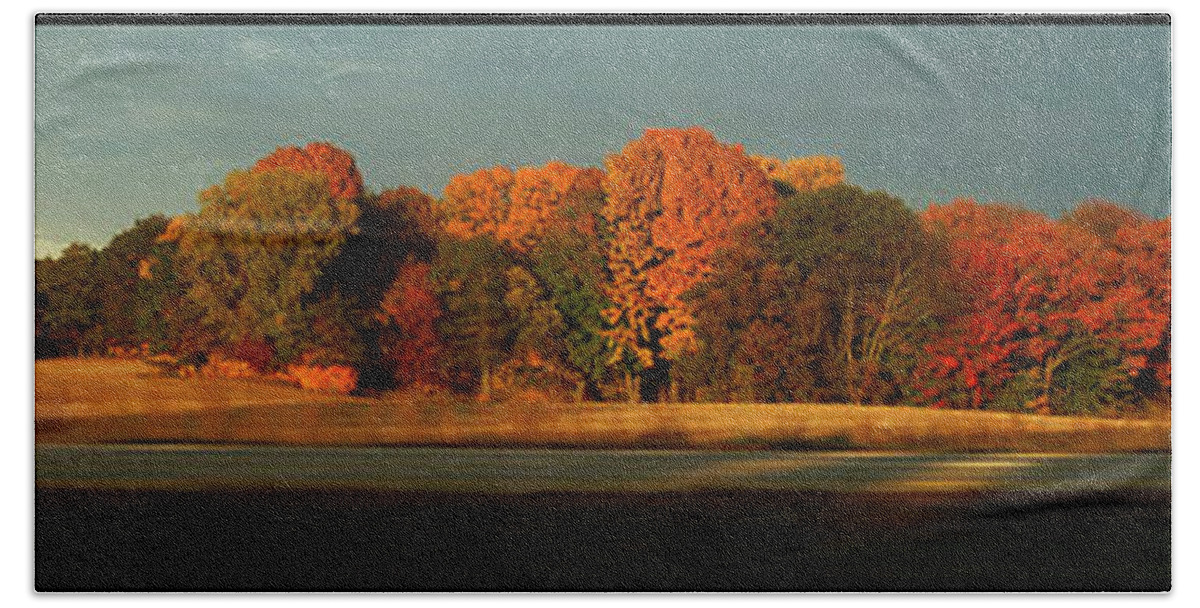 Fall Bath Towel featuring the photograph Fall on Wisconsin 29 by Tim Nyberg