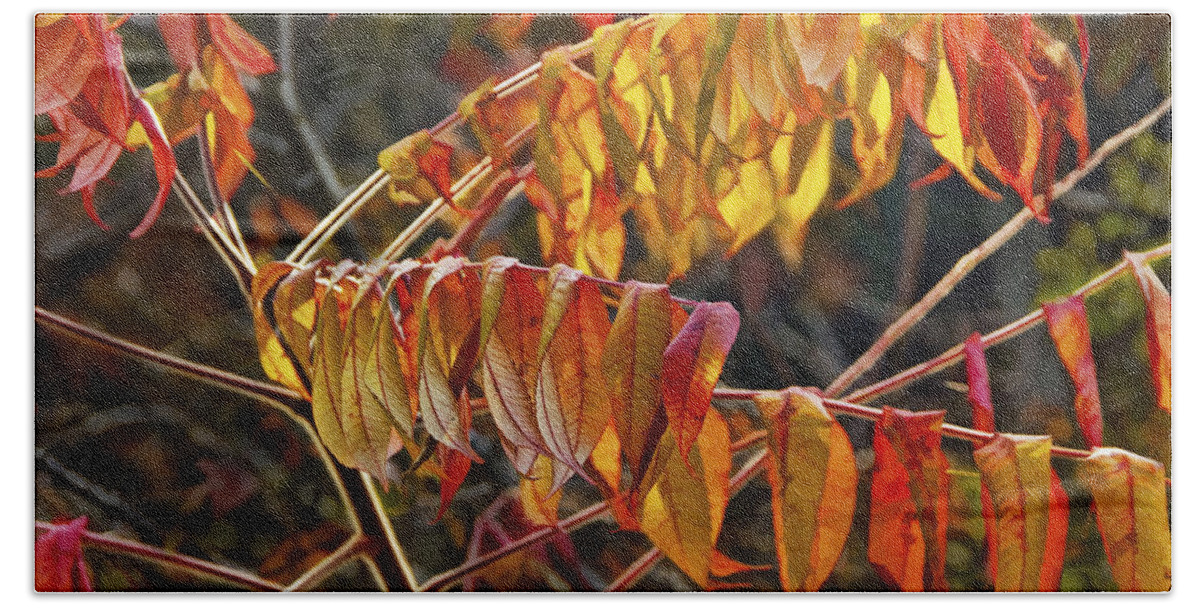 Art Hand Towel featuring the photograph Fall Sumac Leaves by Randall Nyhof