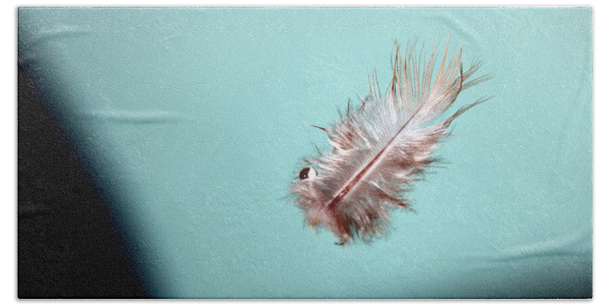 Feather Hand Towel featuring the photograph Feather by Kelly Holm