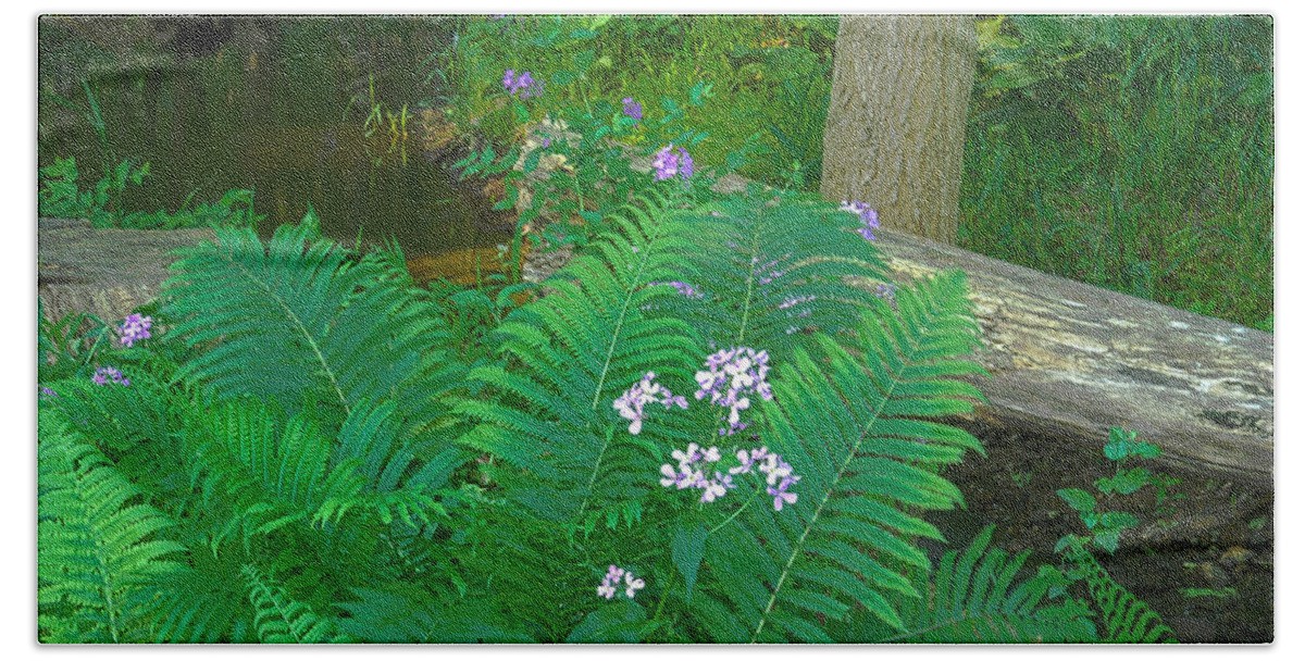 Fern Hand Towel featuring the photograph Ferns and Phlox by Michael Peychich