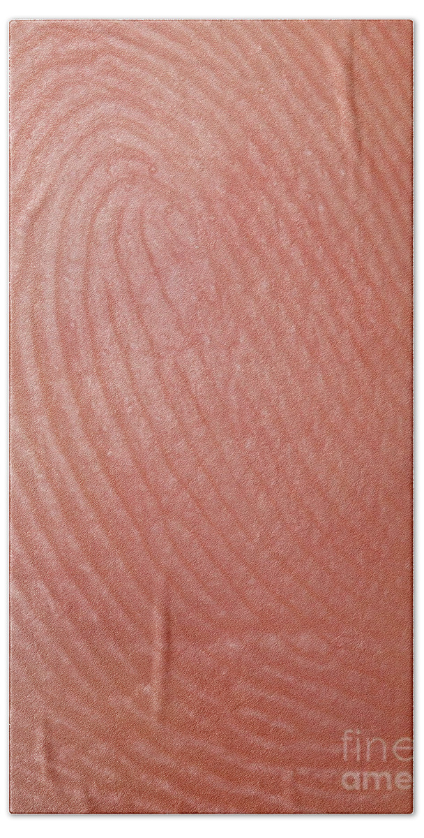 Finger Bath Towel featuring the photograph Fingerprint Ridges by Photo Researchers, Inc.