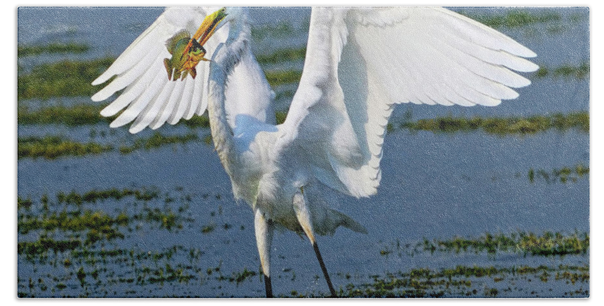 Grat White Egret Bath Towel featuring the photograph Fish'n in the morning by Bill Dodsworth