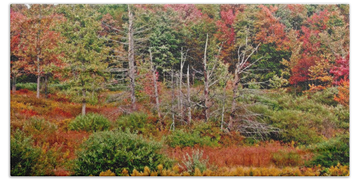 Autumn Hand Towel featuring the photograph Flaming Meadow by Christian Mattison