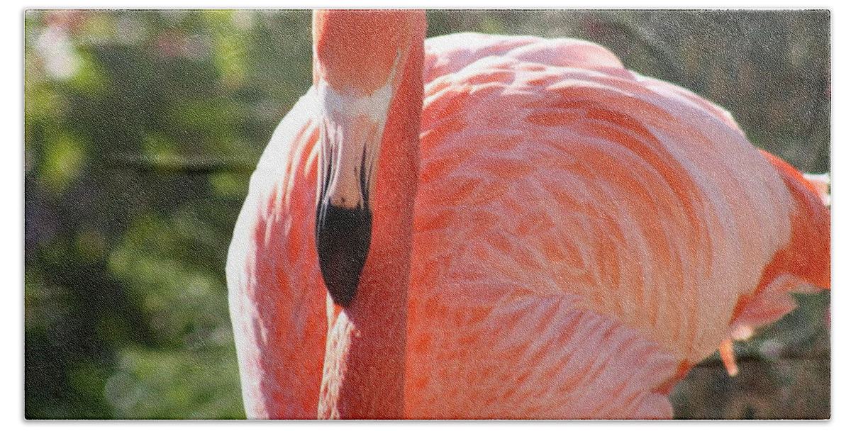 Flamingo Bath Towel featuring the photograph Flamingo by Kim Galluzzo Wozniak
