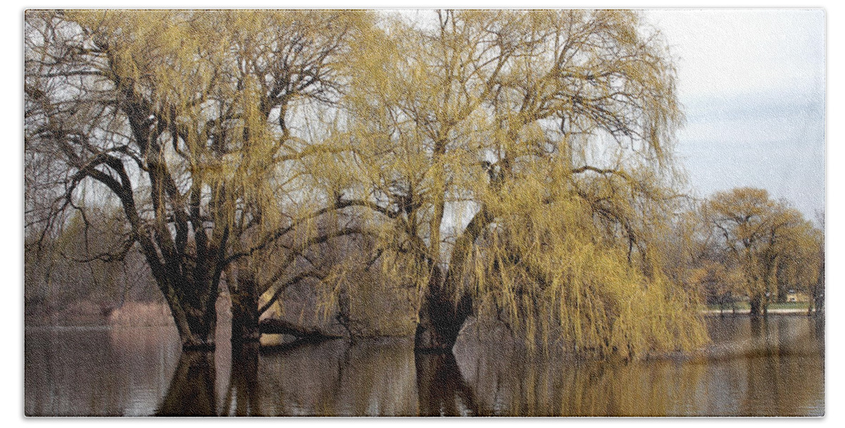 Spring Bath Towel featuring the photograph Flooded Trees by Richard Gregurich