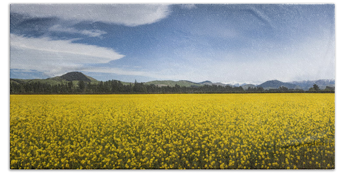 00498847 Bath Towel featuring the photograph Flowering Mustard Crop In Canterbury by Colin Monteath