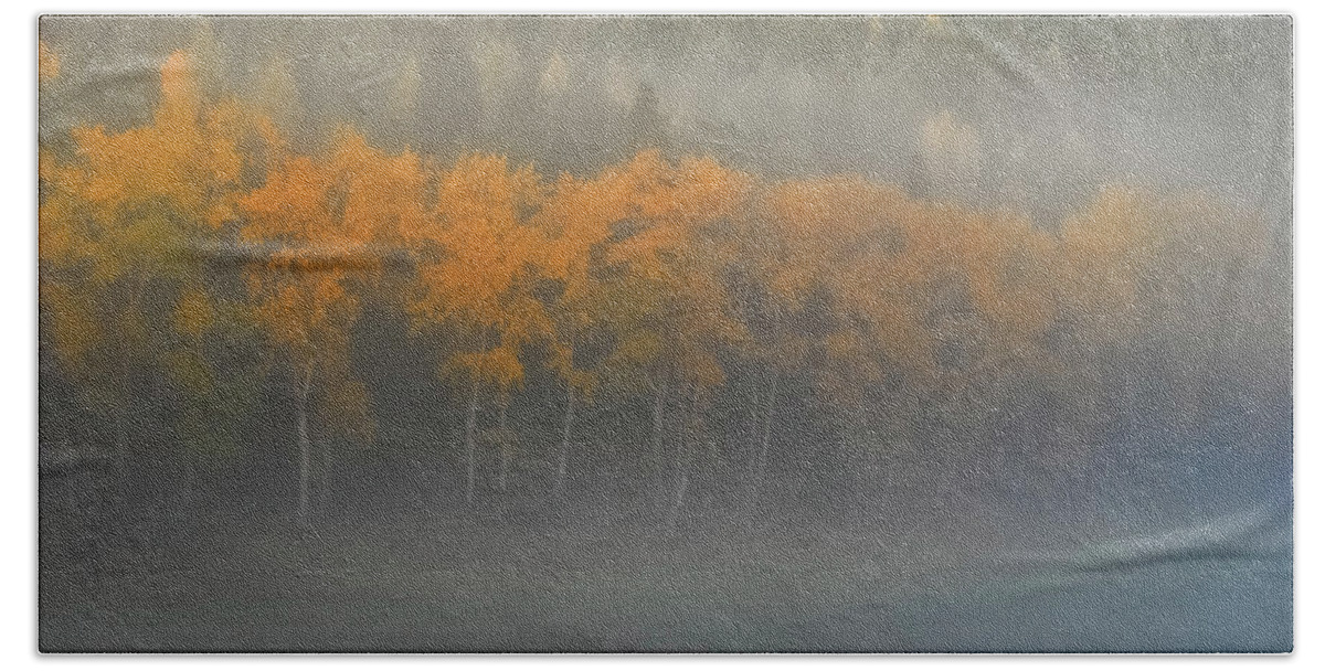 Autumn Color Bath Towel featuring the photograph Foggy Autumn Morning by Albert Seger