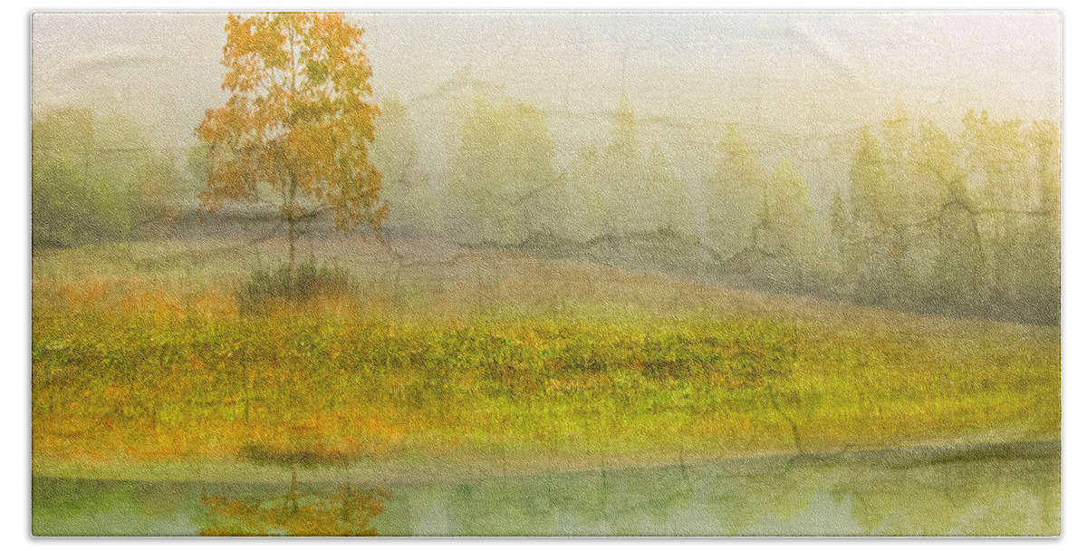 Appalachia Bath Towel featuring the photograph Foggy Meadow by Debra and Dave Vanderlaan