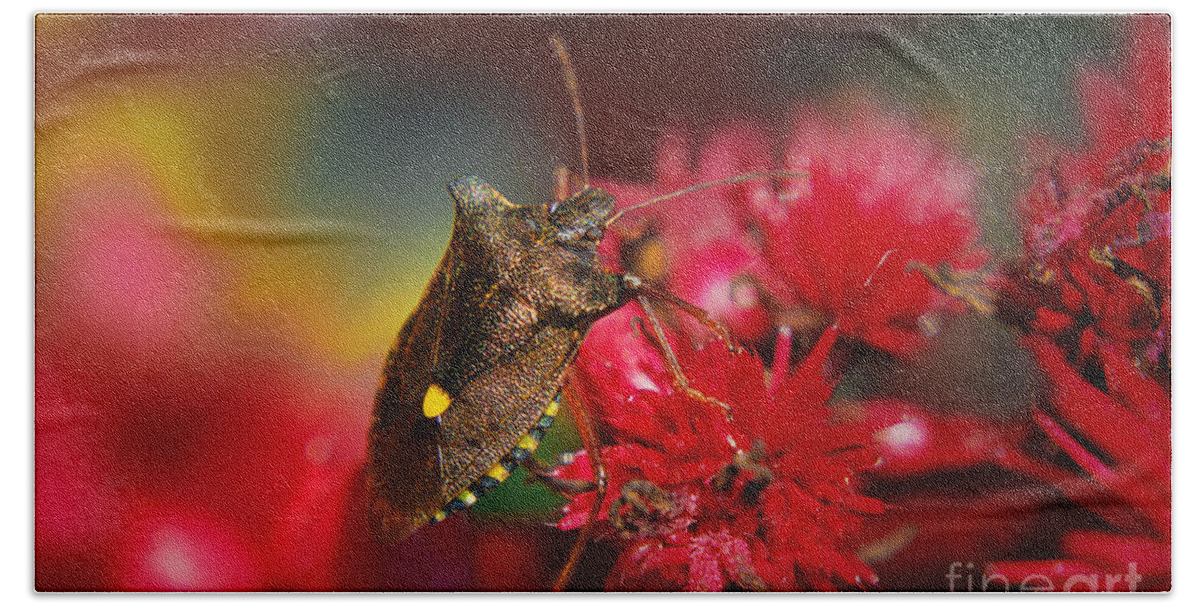 Yhun Suarez Bath Towel featuring the photograph Forest Bug - Pentatoma Rufipes by Yhun Suarez