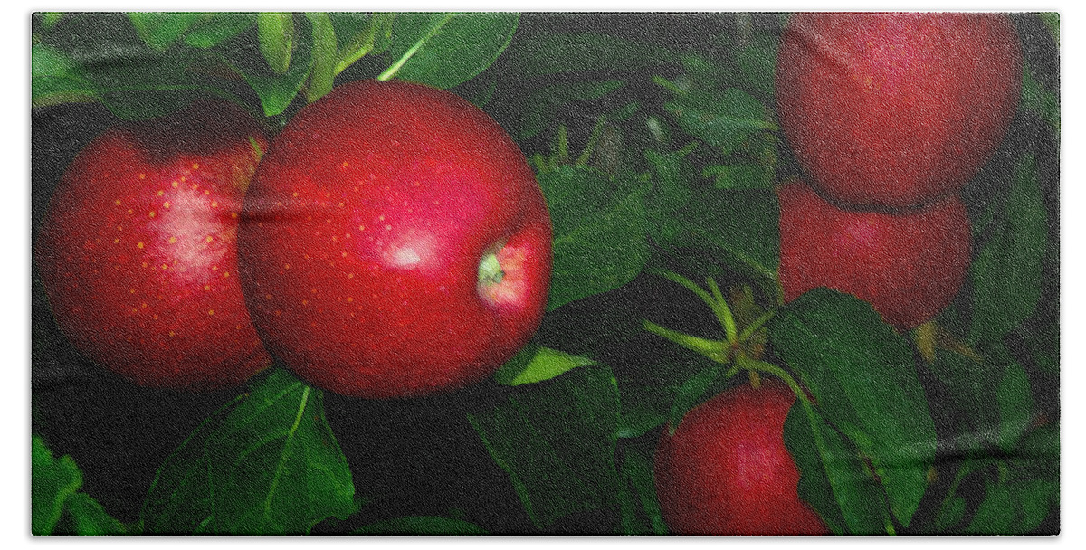 Apples Bath Towel featuring the photograph Gala Apples New Jersey Orchard by Maureen E Ritter