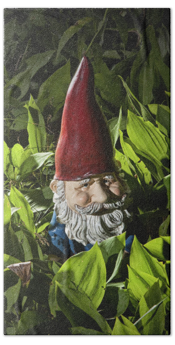 Art Hand Towel featuring the photograph Garden Gnome No 0065 by Randall Nyhof