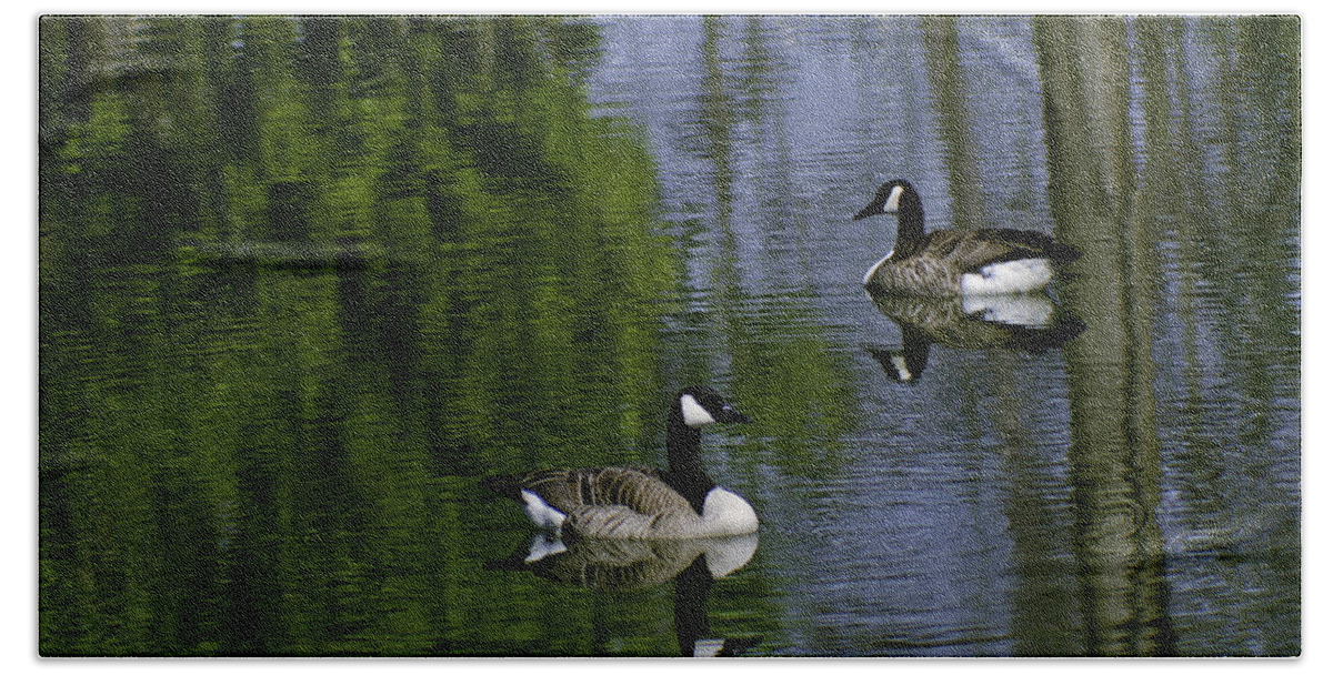 Geese Hand Towel featuring the photograph Geese on the pond by LeeAnn McLaneGoetz McLaneGoetzStudioLLCcom