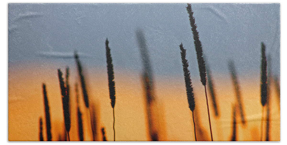 Landscape Hand Towel featuring the photograph Glow by Bruce Patrick Smith