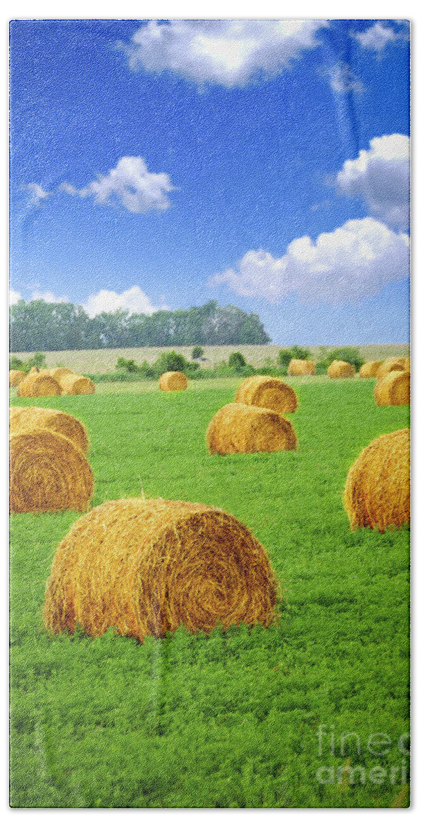 Agriculture Bath Towel featuring the photograph Golden hay bales in green field by Elena Elisseeva
