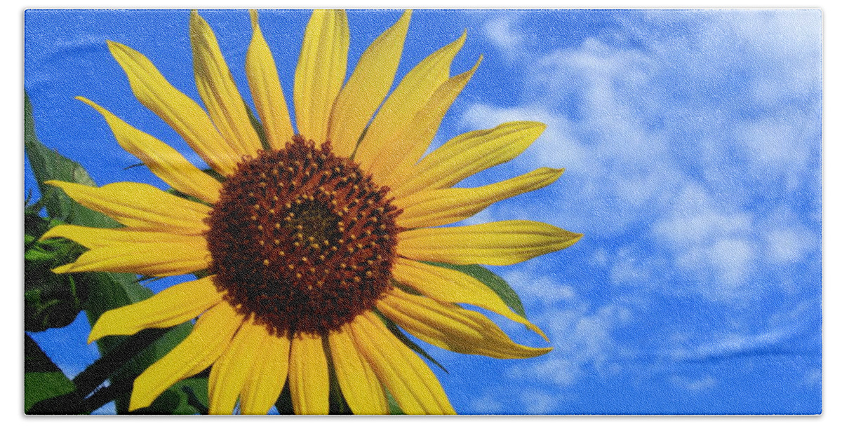 Sunflower Hand Towel featuring the photograph Golden Sunflower by Shane Bechler