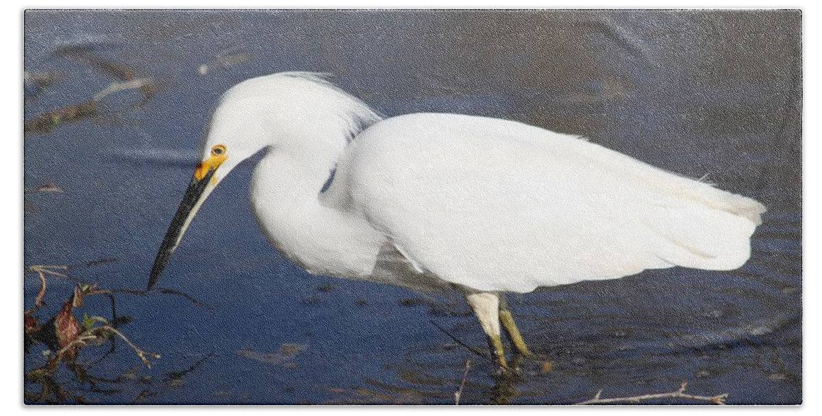 Snowy Egret Hand Towel featuring the photograph Gone Fishing by Amy Gallagher