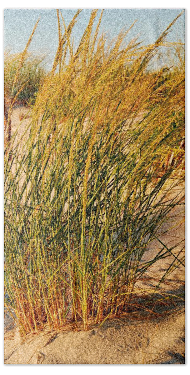 Jersey Shore Bath Towel featuring the photograph Grass Dune I - Jersey Shore by Angie Tirado