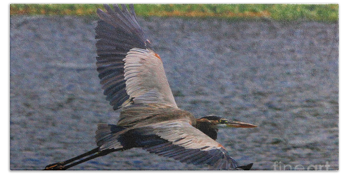 Great Blue Heron Hand Towel featuring the photograph Great Blue Heron in flight by Barbara Bowen