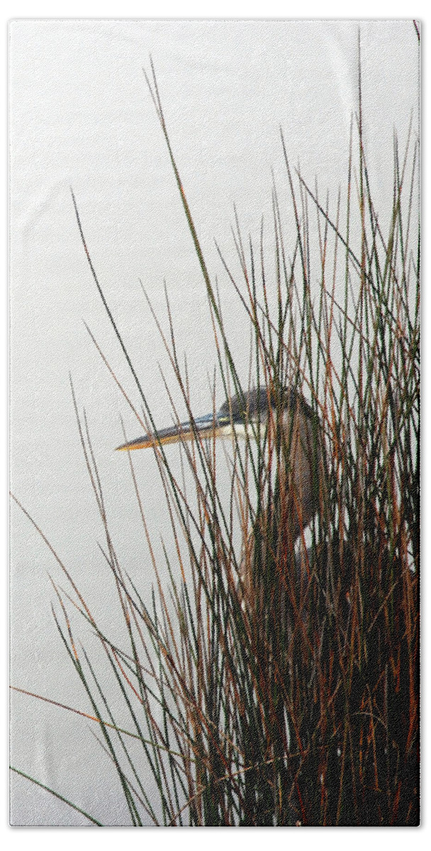 Great Blue Heron Hand Towel featuring the photograph Great Blue Heron by Kay Lovingood